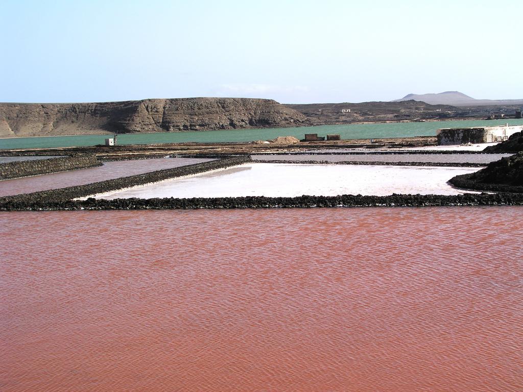Finca El Oratorio Masdache Стая снимка