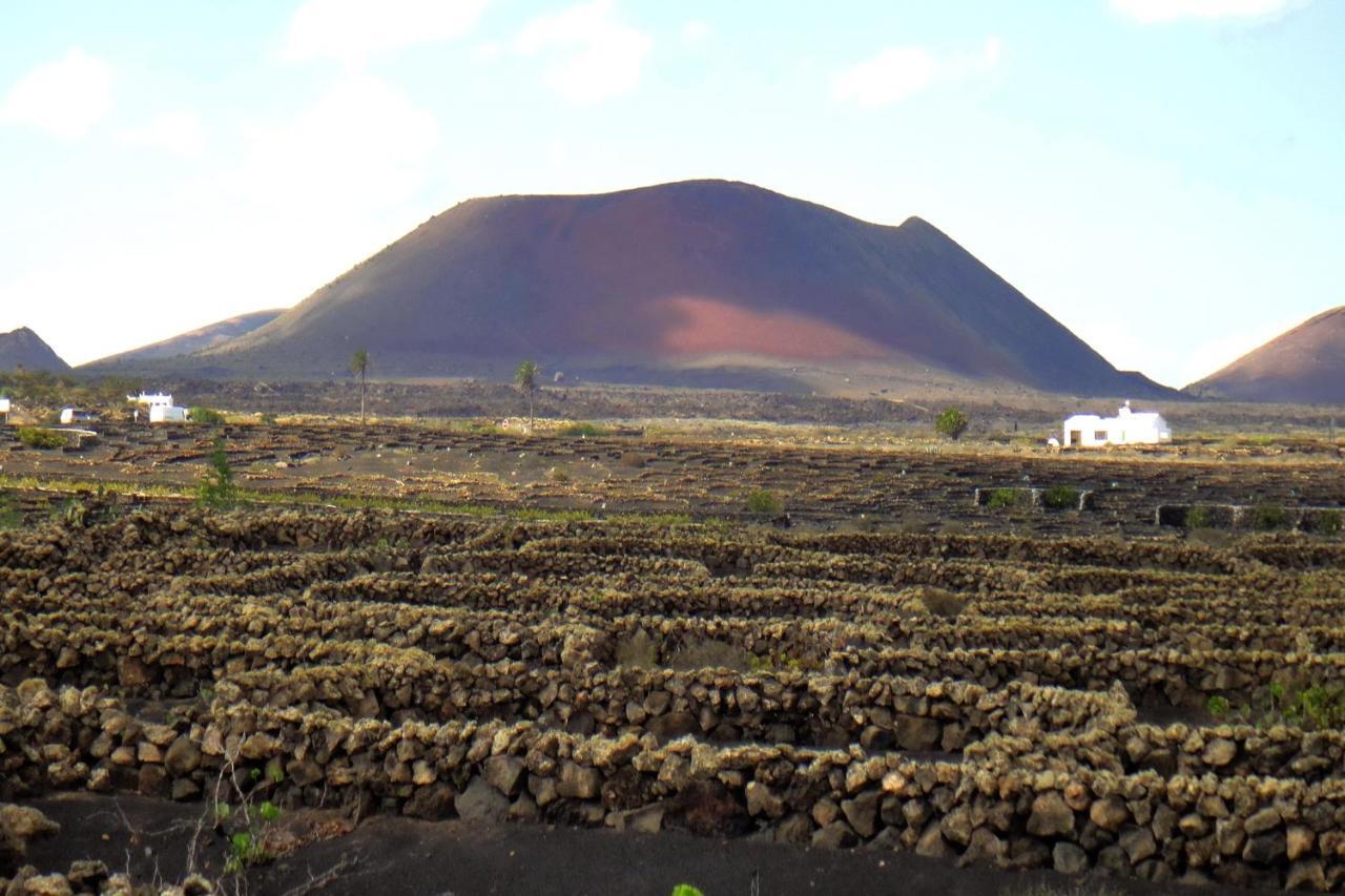 Finca El Oratorio Masdache Стая снимка