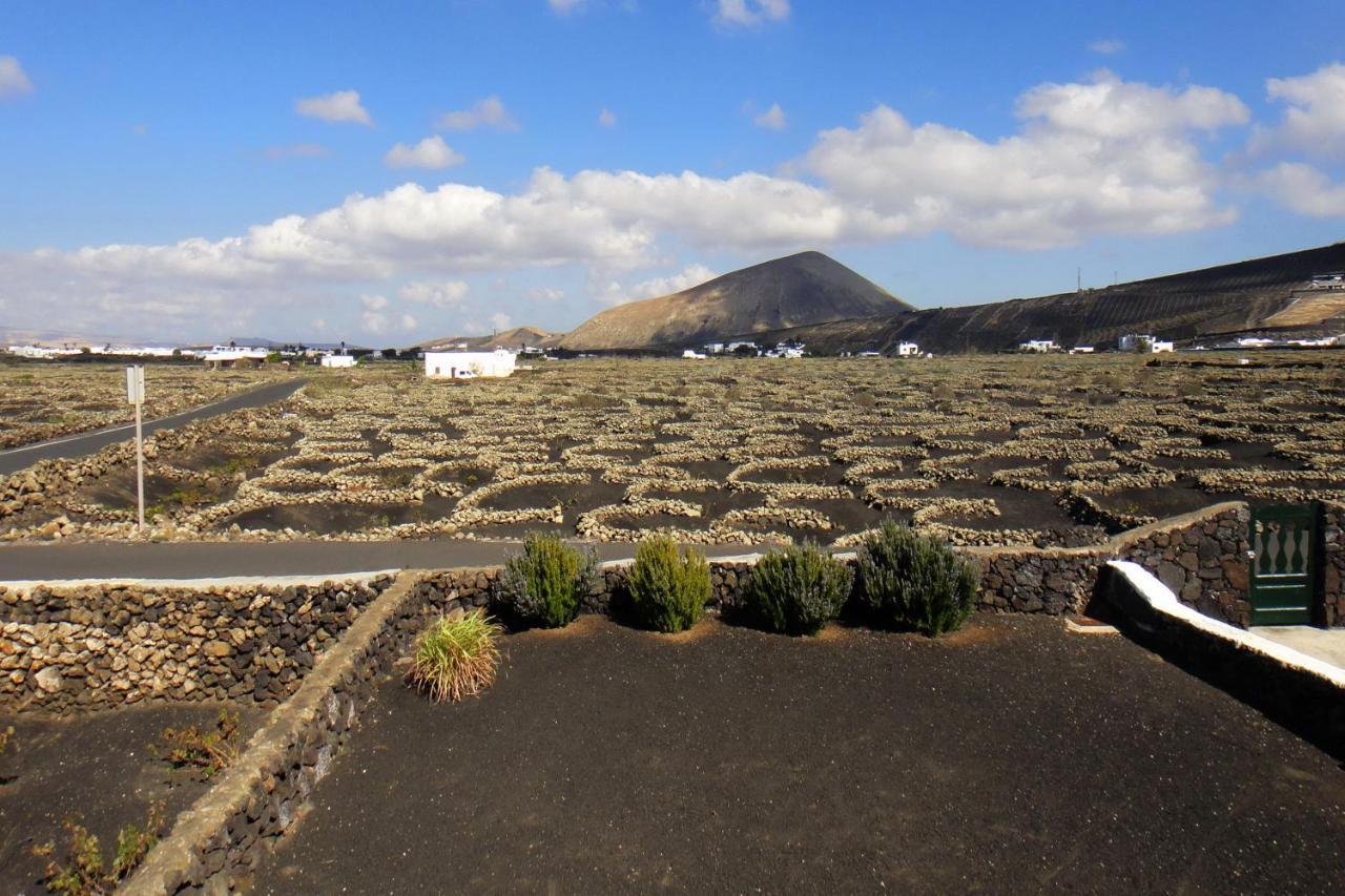 Finca El Oratorio Masdache Стая снимка